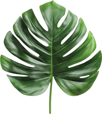 leaf-img